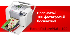  100      Epson Picturemate 100